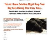 Save Your Canine
