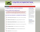 English Bull Terrier | Find out how to stay with and with out them