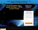 Qigong Energy Coaching System
